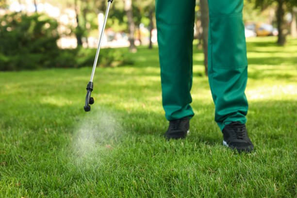 Best Affordable Exterminators  in Anson, TX