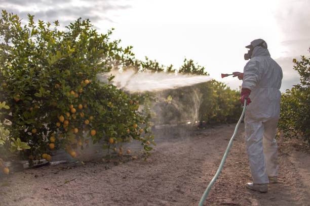 Best Pest Inspection Near Me  in Anson, TX