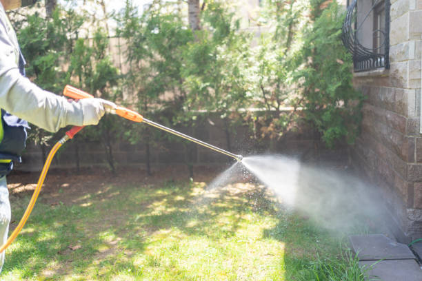 Best Best Pest Control Companies  in Anson, TX