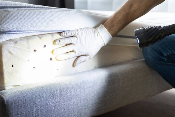 Best Exterminator Services  in Anson, TX