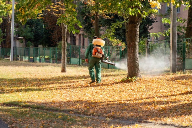 Best Exterminator Services  in Anson, TX